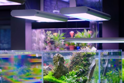 planted-aquarium-led-lighting.jpg