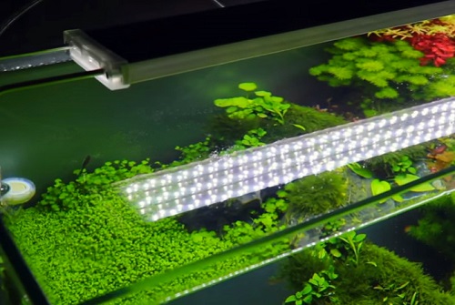 Best Led Lights For Planted Tanks From, 48 Inch Aquarium Light Fixture Size