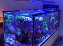 reef-aquarium-light