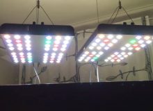 72-inch-aquarium-light