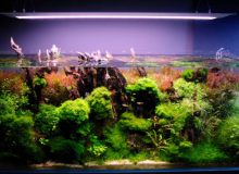 LED aquarium light