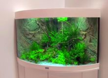 aquarium-stand.jpg