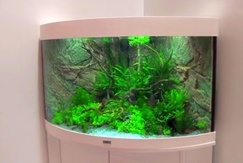 aqueon forge aquarium stand