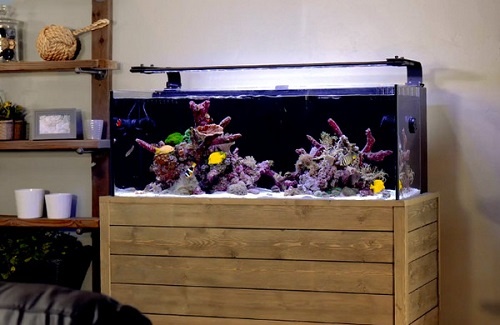 fish-tank-stand