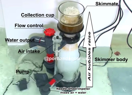 protein-skimmer-1