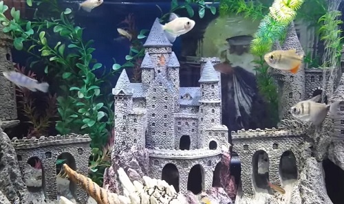 castle-aquarium-ornament-1
