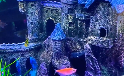 castle-aquarium-ornament