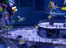 shipwreck-aquarium-decoration
