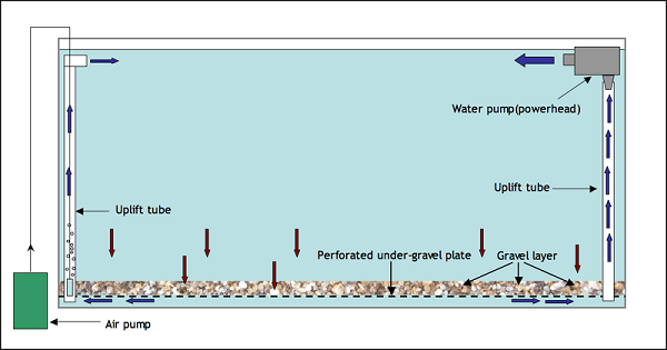 undergravel-filter-diagram