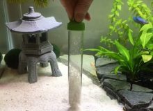 cleaning-aquarium-gravel