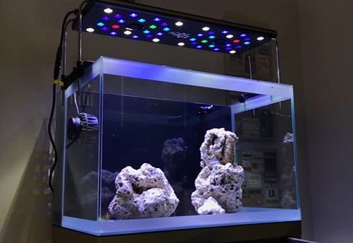 saltwater-aquarium-led-light