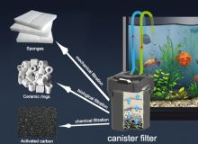 canister-filter-diagram