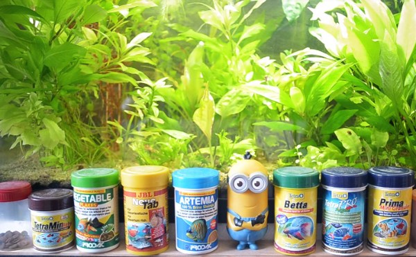 aquarium-fish-food