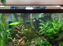aquarium-with-light